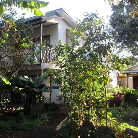 Hostal Marari Hanga Roa Kültér fotó